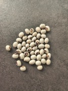 Fasola eucharystyczna z hostią 