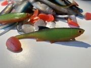 SOSABAITS PŁOĆ 15CM FIRE GREEN