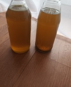 Olej z ostropestu zimnotłoczony