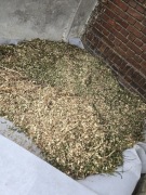Świeże Zrębki z Tui - Naturalna Ściółka, Kury , ogród , ślimaki 