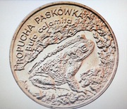 2zł Ropucha Paskówka Mennicza z worka bankowego