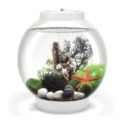 Oase Biorb CLASSIC 60 MCR LED biały akwarium kula z filtrem