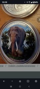 Asian Elephant Cambodia Słoń Azjatycki 1 oz x 1 SZT. 999 1 srebrna moneta