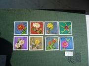 Fi 2636-2643 kwiaty - kaktusy (**)