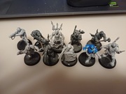 Warhammer 40k: Chaos Space Marines: Traitor Guardsmen