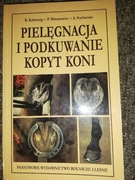 Pielęgnacja i podkuwanie kopyt koni 