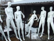 8 sztuk Manekin całopostaciowy. Damski. Rozbieralny.