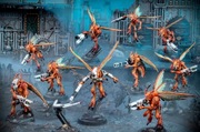 Kill Team -  Vespid Stingwings - Tau 