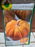 Dynia piżmowa 'Muscade De Provence'