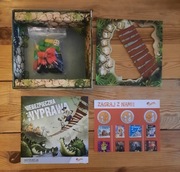 Niebezpieczna Wyprawa FoxGames gra planszowa