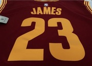 LeBron James Cleveland Cavaliers NOWA