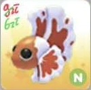 Adopt Me Orange Betta Fish N