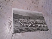 pocztówka Beskid Śląski