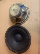 Głośniki Tonsil GDN25/40