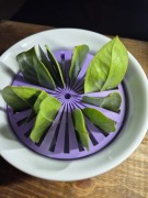 przyrząd do ukorzeniania sadzonek liściowych 