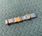 Zmaszowa obroża ze zlotymi okuciami  