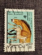 Znaczek pocztowy koń 