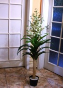 Drzewko sztuczne Juka  145 cm