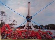 TYCHY - Pomnik .Pocztówka z opisem .