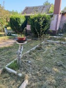 Ogródek działkowy .Sprzedam.