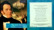 442 CD Muzyka Klasyczna Schubert (W) (21)
