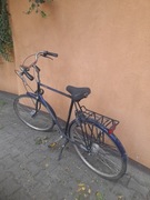 Rower Batavus Torino