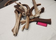 Poroże naturalny Gryzak  dla psa  zabawka 22-34cm 