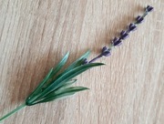 Sztuczne kwiaty, gałązka do wyrobu wiązanek, bukietów ,stroików