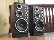 Kolumny Altus 110 Tonsil. Fornir. Stan wzorowy Oryginał