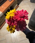 Własnoręcznie robione kwiaty 