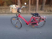 Rower holenderski Batavus Mambo