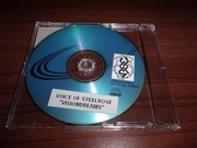 Voice of Steelrose - Visiondreams