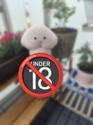 Poduszka Penis Długi Denis, handmade