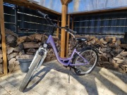 Rower Unibike model Princess 