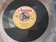 Płyta Winylowa Amiga 