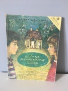 Dom pod kasztanami Bechlerowa Szancer NK vintage