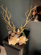 Świąteczne kompozycje 