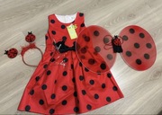 Biedroneczka r.4-6 lat