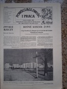 Powściągliwość i Praca nr 388 (3/1984) Bp I. Tokarczuk; H. Arendt; Stachura