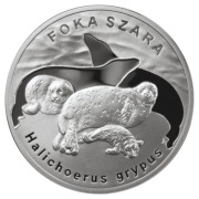 Srebrna moneta 20 zł 2007 Foka szara Ag 925 lustrzana mennicza 
