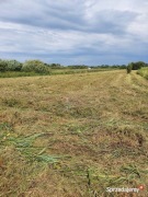 Działka rolna-łąka Wólka Cycowska 