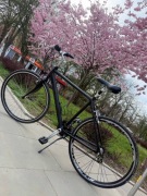 Rower miejski/trackingowy