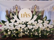 Hostia styropianowa 50cm