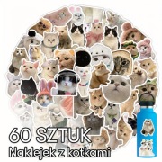Zestaw naklejek ze słodkimi kotkami - 60 sztuk