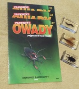 Prawdziwe owady nr. 29,33,37.
