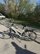 Rower Męski Gudereit