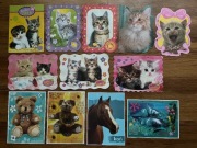 Karteczki Kotki Misie Koń Delfiny 12 szt. (duże)