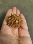 Aragonit o kulistym kształcie