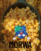 Kukurydza MORWA 1kg gotowa do użycia