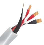 Kabel głośnikowy WIREWORLD Solstice 8, 1m